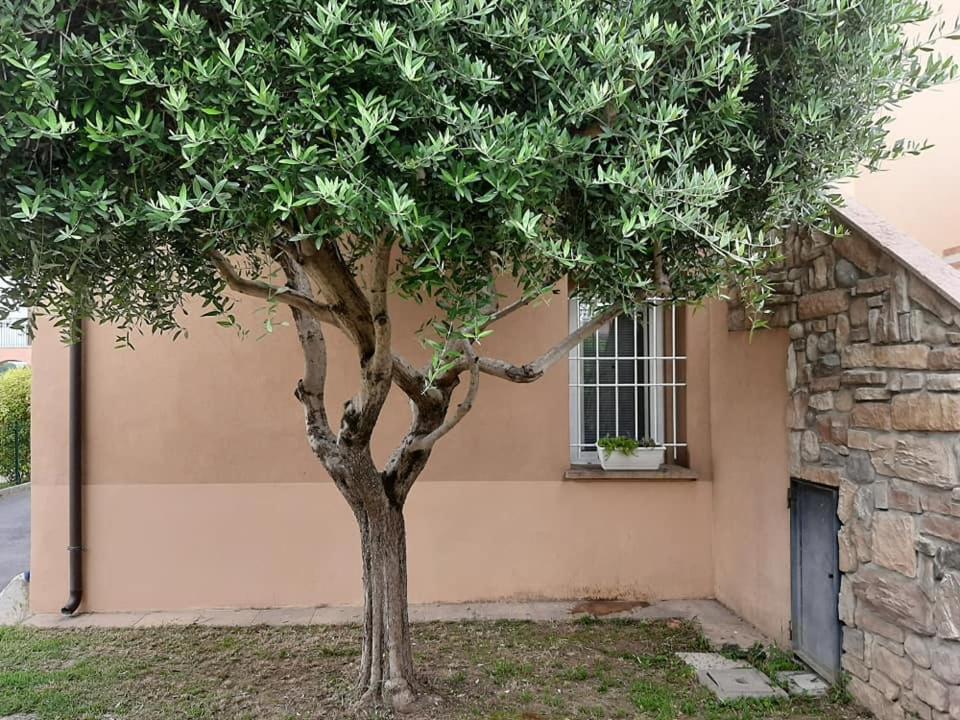 Garda Ibiscus Di Francia * Desenzano del Garda